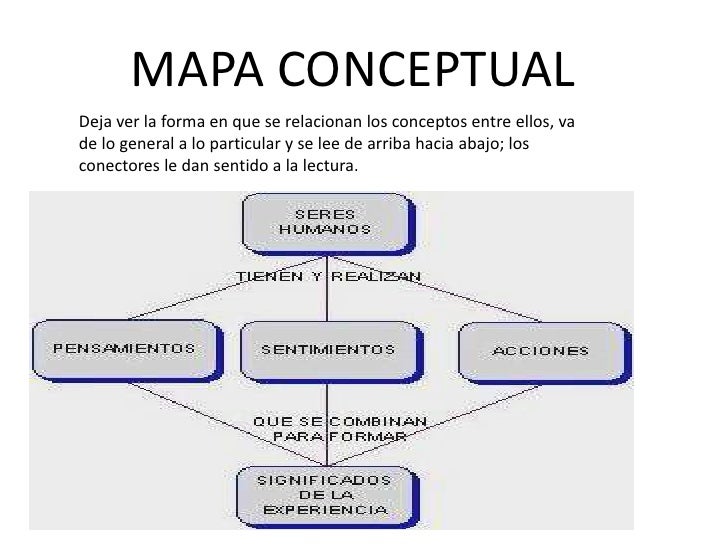 COMERCIO Y ADMINISTRACION ORGANIZADORES GRAFICOS POR