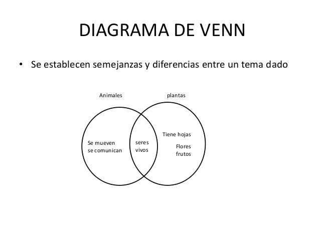 Organizadores graficos