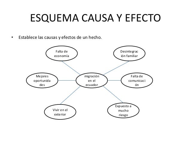 Organizadores graficos