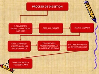 EL ALIMENTO SE
MEZCLA CON LA SALIVA
ENLA BOCA
PROCESO DE DIGESTION
PASA A LA FARINGE PASA AL ESOFAGO
EN EL ESTOMAGO
SE MEZCLA CON LOS
JUGOS GASTRICOS
LOS ALIMENTOS
PROCESADOS LLEGAN
AL INTESTINO DELGADO
LOS DESECHOS PASAN
AL INTESTINO GRUESO
SON EXPULSADOS A
TRAVÈS DEL ANO
10
 