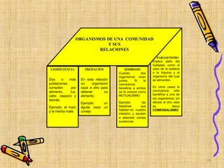 SIMBIOSIS
Cuando dos
organismos viven
juntos. Si la
convivencia
beneficia a ambos
se le conoce como
MUTUALISMO.
Ejemplo: las
bacterias que
habitan en nuestro
intestino y ayudan
a absorber ciertas
sustancias
PREDACIÓN
En esta relación
un organismo
caza a otro para
obtener su
alimento.
Ejemplo: un
águila caza un
conejo
PARASITISMO
Implica daño del
huésped, como el
caso de la solitaria
o la triquina y el
organismo del cual
se alimentan.
En otros casos la
convivencia sólo
beneficia a uno de
los organismos, sin
afectar al otro, esto
se llama
COMENSALISMO
COMPETENCIA
Dos o más
poblaciones
compiten por
alimento, luz,
calor, espacio y
demás.
Ejemplo: el maíz
y la hierba mala
ORGANISMOS DE UNA COMUNIDAD
Y SUS
RELACIONES
16
 