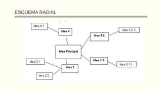 ESQUEMA RADIAL
 