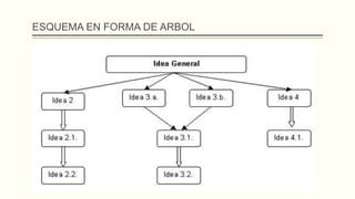 ESQUEMA EN FORMA DE ARBOL
 