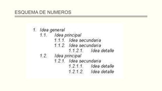 ESQUEMA DE NUMEROS
 