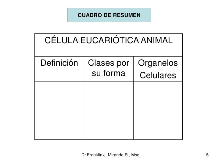 Organizadores gráficos