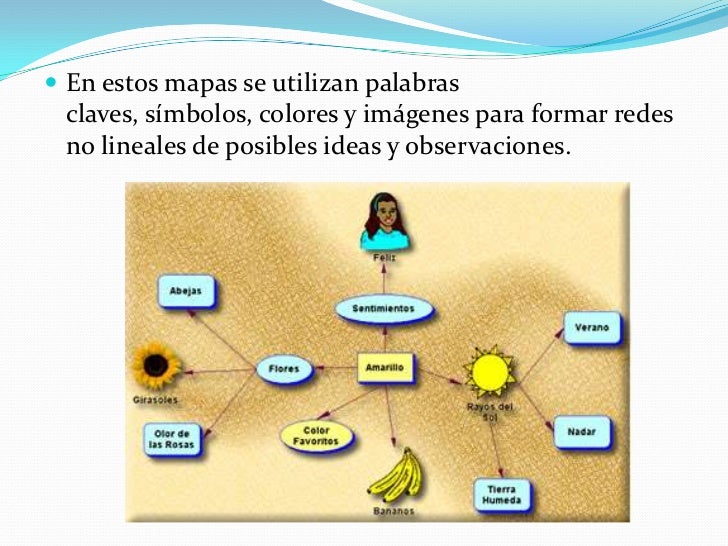 Organizadores gráficos Mapa de ideas