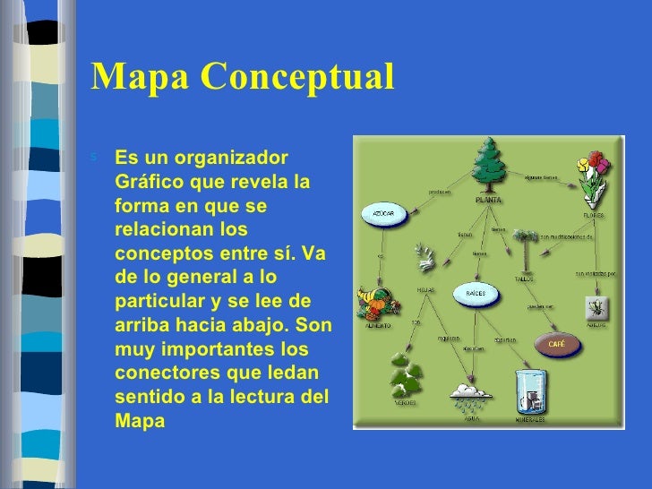 Organizadores gráficos