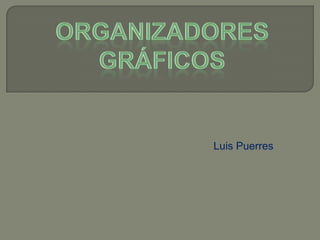 ORGANIZADORES GRÁFICOS Luis Puerres 