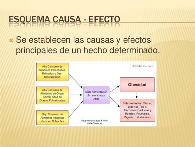 Organizadores gráficos