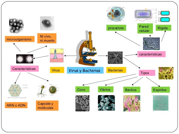 Organizadores Visuales