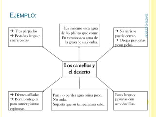 EJEMPLO:
Los camellos y
el desierto
 Tres párpados
 Pestañas largas y
encrespadas
 Su nariz se
puede cerrar.
 Orejas pequeñas
y con pelos.
 Dientes afilados
 Boca protegida
para comer plantas
espinosas
Patas largas y
pezuñas con
almohadillas
En invierno saca agua
de las plantas que come.
En verano saca agua de
la grasa de su joroba.
Para no perder agua orina poco.
No suda.
Soporta que su temperatura suba.
25/05/201322:25:33
14
 
