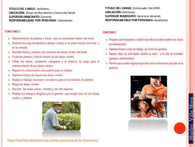 Organizador grafico de funciones