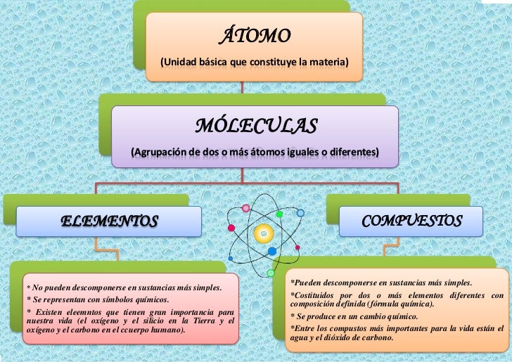 Organizador gráfico