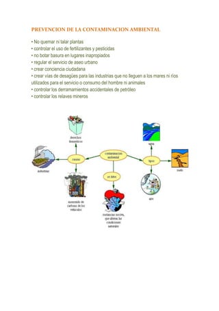 Organizador visual  para colgar a la web