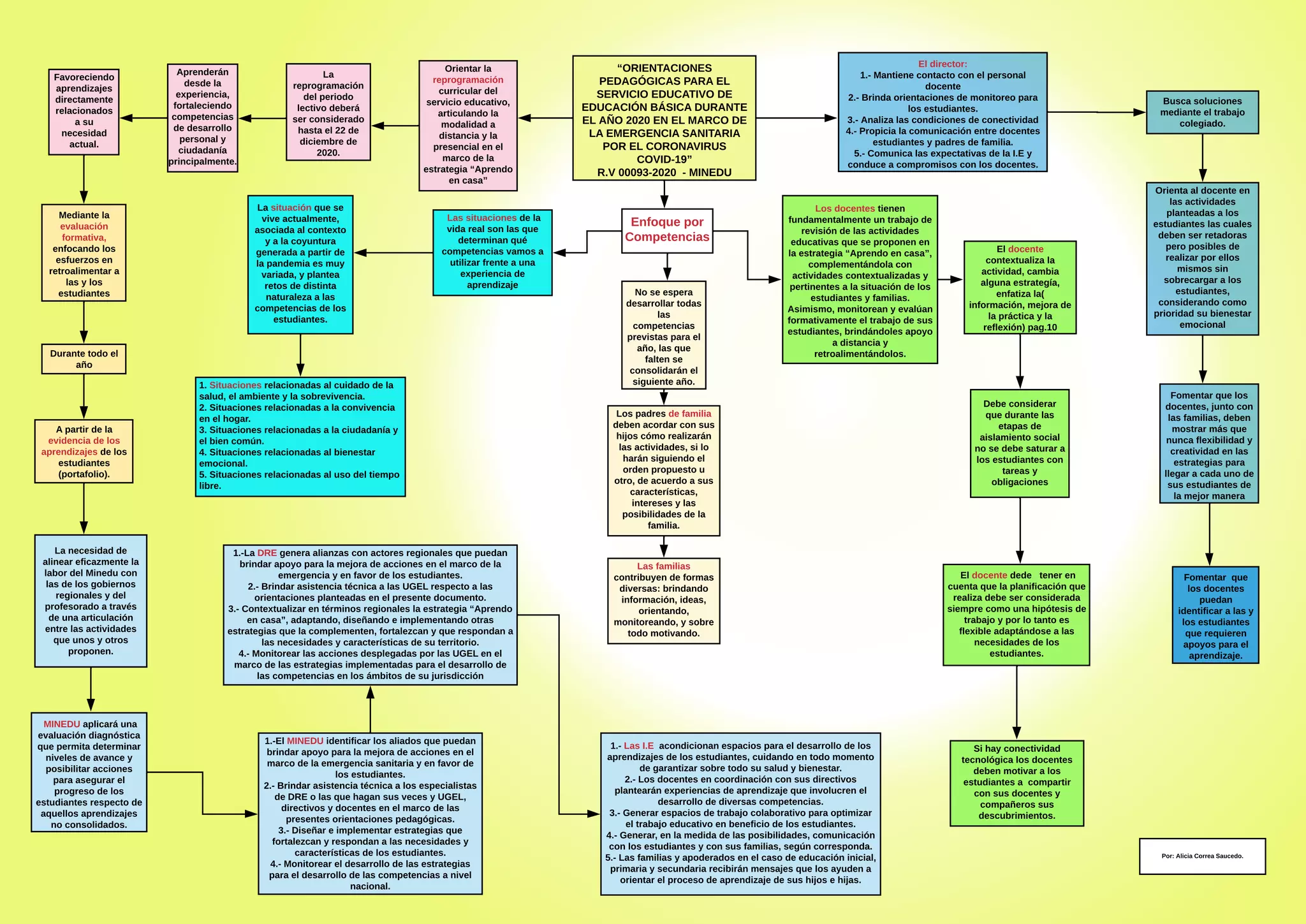 Organizador visual RVM 0093 2020 | PDF