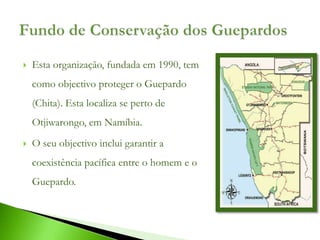    Esta organização, fundada em 1990, tem
    como objectivo proteger o Guepardo
    (Chita). Esta localiza se perto de
    Otjiwarongo, em Namíbia.
   O seu objectivo inclui garantir a
    coexistência pacífica entre o homem e o
    Guepardo.
 