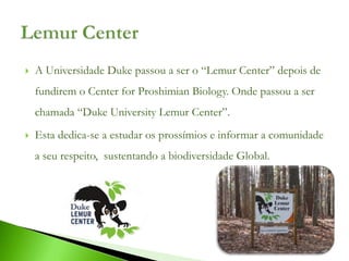    A Universidade Duke passou a ser o “Lemur Center” depois de
    fundirem o Center for Proshimian Biology. Onde passou a ser
    chamada “Duke University Lemur Center”.
   Esta dedica-se a estudar os prossímios e informar a comunidade
    a seu respeito, sustentando a biodiversidade Global.
 