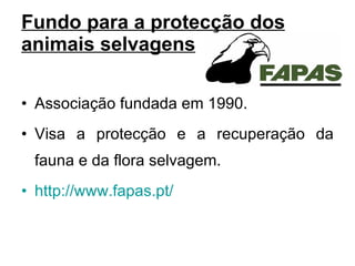 Fundo para a protecção dos animais selvagens Associação fundada em 1990. Visa a protecção e a recuperação da fauna e da flora selvagem. http://www.fapas.pt/ 