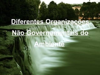 Diferentes Organizações Não Governamentais do Ambiente   