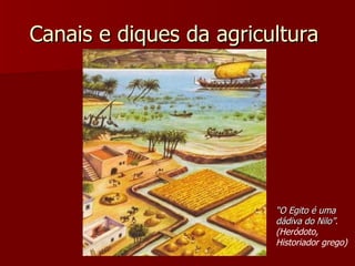 Canais e diques da agricultura




                         “O Egito é uma
                         dádiva do Nilo”.
                         (Heródoto,
                         Historiador grego)
 