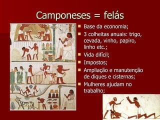 Camponeses = felás
           Base da economia;
           3 colheitas anuais: trigo,
            cevada, vinho, papiro,
            linho etc.;
           Vida difícil;
           Impostos;
           Ampliação e manutenção
            de diques e cisternas;
           Mulheres ajudam no
            trabalho;
 
