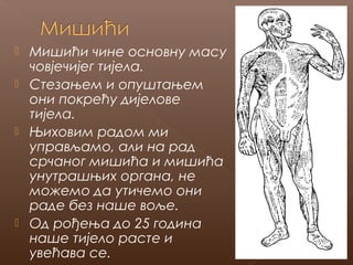






Мишићи чине основну масу
човјечијег тијела.
Стезањем и опуштањем
они покрећу дијелове
тијела.
Њиховим радом ми
управљамо, али на рад
срчаног мишића и мишића
унутрашњих органа, не
можемо да утичемо они
раде без наше воље.
Од рођења до 25 година
наше тијело расте и
увећава се.

 