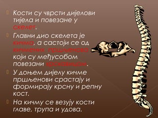 







Кости су чврсти дијелови
тијела и повезане у
скелет.
Главни дио скелета је
кичма, а састоји се од
кичмених пршљенова
који су међусобом
повезани хрскавицом.
У доњем дијелу кичме
пршљенови срастају и
формирају крсну и репну
кост.
На кичму се везују кости
главе, трупа и удова.

 