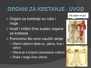  Organi za kretanje su ruke i
noge
 Kosti i mišići čine sustav organa
za kretanje
 Ponovimo što smo naučili ranije:
 Glavni dijelovi tijela su: glava, trup i
udovi
 Glava je s trupom povezana vratom
 Ruke i noge čine udove
Još jedan krug?
 