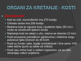  Zanimljivosti:
 Kad se rodi, novorođenče ima 270 kostiju
 Odrasla osoba ima 206 kostiju
 Bedrena kost je najveća kost u ljudskom tijelu (50 cm) i
može se utrostručiti tijekom života
 Najmanja kost se nalazi u uhu, naziva se stremen (3 mm)
 Kosti povezane pokretljivim zglobovima i mišićima mogu
pokrenuti tijelo brzinom do 45 km/h
 Kosti su čvrste i jake, šuplje unutrašnjosti i čine samo 14%
naše težine (puno su lakše od mišića)
 Kosti nisu mrtve tvari u našem organizmu, pa se zato
obnavljaju nakon prijeloma
 