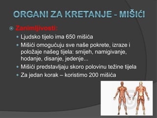  Zanimljivosti:
 Ljudsko tijelo ima 650 mišića
 Mišići omogućuju sve naše pokrete, izraze i
položaje našeg tijela: smijeh, namigivanje,
hodanje, disanje, jedenje...
 Mišići predstavljaju skoro polovinu težine tijela
 Za jedan korak – koristimo 200 mišića
 