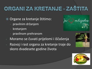  Organe za kretanje štitimo:
- pravilnim držanjem
- kretanjem
- pravilnom prehranom
- Moramo se čuvati prijelomi i iščašenja
- Razvoj i rast organa za kretanje traje do
skoro dvadesete godine života
 