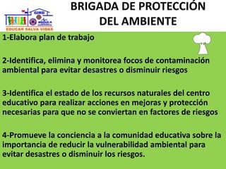 1-Elabora plan de trabajo
2-Identifica, elimina y monitorea focos de contaminación
ambiental para evitar desastres o disminuir riesgos
3-Identifica el estado de los recursos naturales del centro
educativo para realizar acciones en mejoras y protección
necesarias para que no se conviertan en factores de riesgos
4-Promueve la conciencia a la comunidad educativa sobre la
importancia de reducir la vulnerabilidad ambiental para
evitar desastres o disminuir los riesgos.
BRIGADA DE PROTECCIÓN
DEL AMBIENTE
 