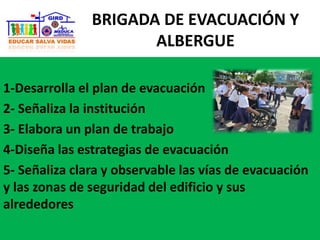 1-Desarrolla el plan de evacuación
2- Señaliza la institución
3- Elabora un plan de trabajo
4-Diseña las estrategias de evacuación
5- Señaliza clara y observable las vías de evacuación
y las zonas de seguridad del edificio y sus
alrededores
BRIGADA DE EVACUACIÓN Y
ALBERGUE
 