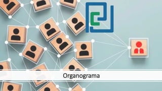 Organograma
 