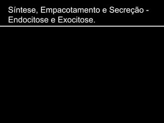 Síntese, Empacotamento e Secreção -
Endocitose e Exocitose.
 
