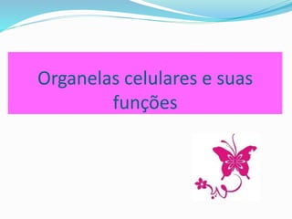 NÚCLEO CELULAR
 O núcleo está presente apenas nos seres eucariontes.
 É formado por uma membrana nuclear que protege o DNA.
 Como guarda o DNA sua função é comandar o funcionamento
da célula
Célula animal
Professora Silvana – ensino médio
 