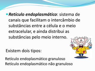 Mitocôndrias - Respiração celular:
OxigênioGlicose
+
Energia
ATP
+ Gás
carbônico
A molécula de glicose é quebrada em presença de oxigênio
liberando energia (armazenada sob a forma de ATP -
adenosina trifosfato) e Gás carbônico
Professora Silvana – ensino médio
 