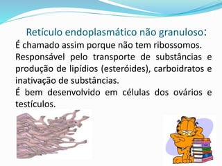 PAREDE CELULAR OU MEMBRANA ESQUELÉTICA
 Está presente nas plantas, fungos (eucariontes) e bactérias
(procariontes).
 Sua função é proteger a célula de danos mecânicos e
assegurar seu formato e função.
 Muitos antibióticos agem impedindo a formação da parede
celular da bactéria.
Professora Silvana – ensino médio
 