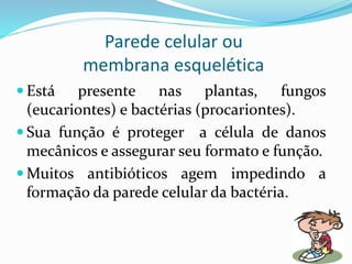 PEROXISSOMOS
 Responsáveis pela inativação do peróxido de hidrogênio
(água oxigenada ) produzida pelo metabolismo celular
através de uma enzima chamada catalase.
 