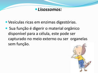 CENTRÍOLOS
o Participam da divisão celular e da formação de cílios e
flagelos.
 São encontrados apenas nas células animais
Giárdia- possui flagelos para locomoção
 