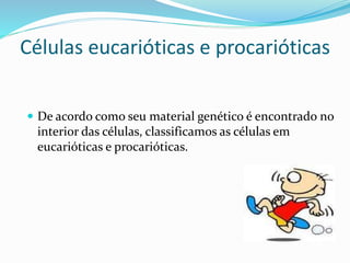 CÉLULAS EUCARIÓTICAS E PROCARIÓTICAS
 De acordo como seu material genético é encontrado no
interior das células, classificamos as células em
eucarióticas e procarióticas.
Professora Silvana – ensino médio
 