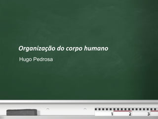 Organização do corpo humano Hugo Pedrosa 