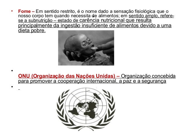 Organização das Nações Unidas - ONU