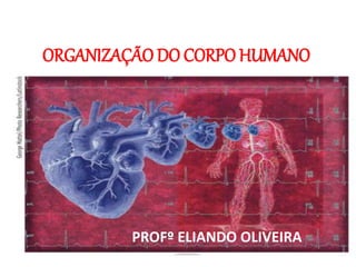 ORGANIZAÇÃO DO CORPO HUMANO
PROFº ELIANDO OLIVEIRA
 
