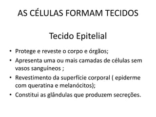 AS CÉLULAS FORMAM TECIDOS
Tecido Epitelial
• Protege e reveste o corpo e órgãos;
• Apresenta uma ou mais camadas de células sem
vasos sanguíneos ;
• Revestimento da superfície corporal ( epiderme
com queratina e melanócitos);
• Constitui as glândulas que produzem secreções.
 