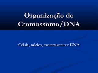 Organização doOrganização do
Cromossomo/DNACromossomo/DNA
Célula, núcleo, cromossomo e DNACélula, núcleo, cromossomo e DNA
 