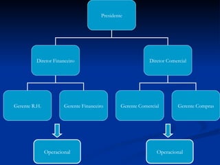 Operacional Operacional Presidente Diretor Financeiro Diretor Comercial Gerente R.H. Gerente Comercial Gerente Compras Gerente Financeiro 