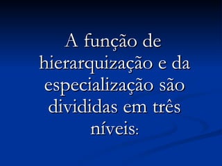 A função de hierarquização e da especialização são divididas em três níveis : 