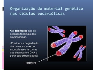 Organização e regulação do material genético | PPT