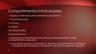 Compartimentos intracelulares
• Espaços rodeados pela membrana plasmática.
• Os principais são:
*o núcleo
*o citosol
*as mitocôndrias
*as peronixomas
*o sistema de endomembranas (reticulo endoplasmático, Golgi,
compartimento vesicular).
• As proteínas podem scroll entre os distintos compartimentos mediante:
transporte de membrana, transporte vesicular, transporte regulado.
•
 